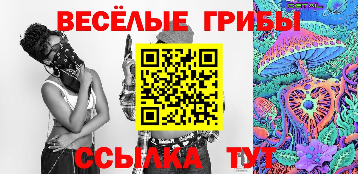 Псилоцибиновые грибы Cubensis Балашов