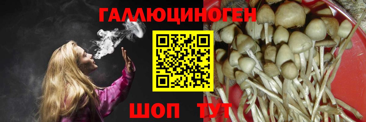 Балашов  Псилоцибиновые грибы ЛСД  Вход с VPN 